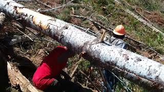 Choker setter logging