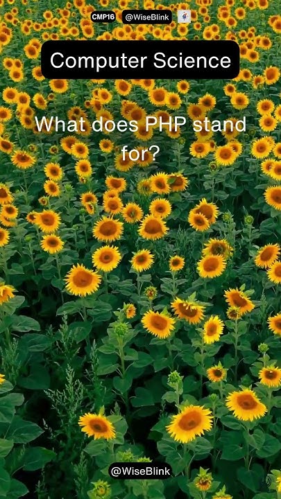 what-does-php-stand-for-youtube
