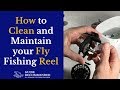 How to clean and maintain a fly reel