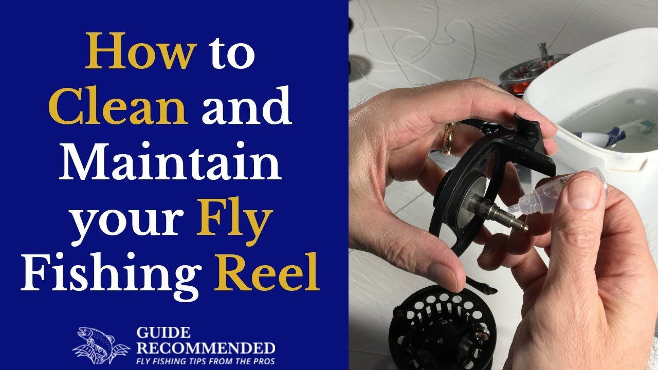 How to clean and maintain a fly reel 