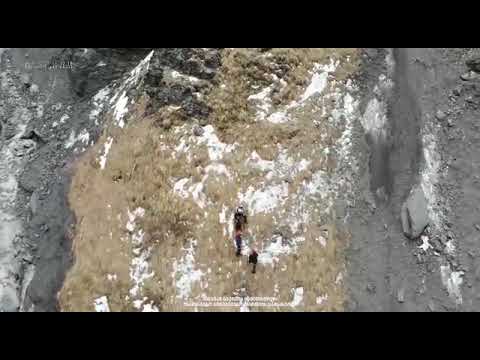 მაშველებმა სტეფანწმინდაში ჩინეთის მოქალაქე გადაარჩინეს