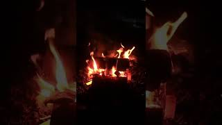 Lagerfeuer in der Nacht #shorts #draussenzuhause #outdoorlife