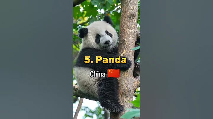 Top 10 National Animals From Different Countries in the World #shorts @GajendraPrajapati7 - DayDayNews