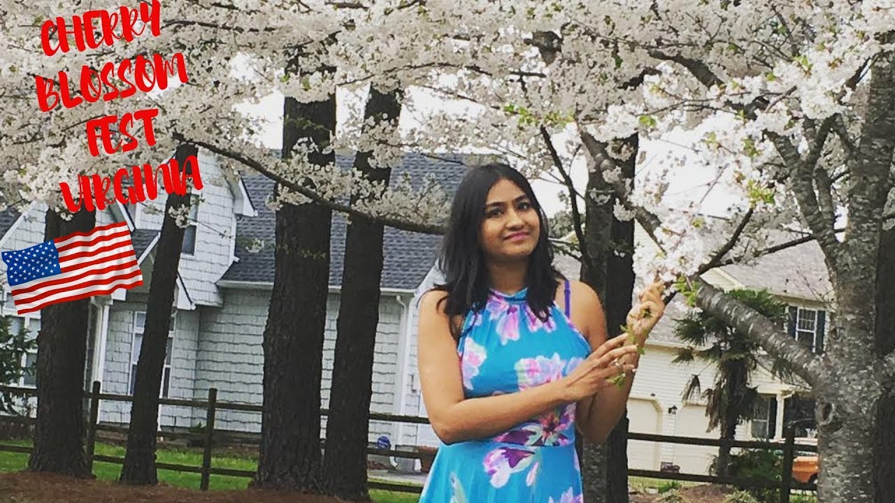 wanderers grounds Red Wing Park Virginia ( United States America ) | Travel Vlog | Cherry Blossom Fest