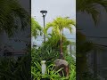 Da Nang Mikazuki Japanese Resorts &amp; Spa Infinity Pool   다낭 미카즈키 인피니티 풀