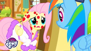 My Little Pony in Hindi 🦄 Hurricane Fluttershy | Friendship is Magic | Full Episode screenshot 5