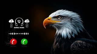 🦅 Eagle Danger Ringtone 2026 | Powerful Eagle Sound Ringtone | Attitude Ringtone🥷😈👑😎