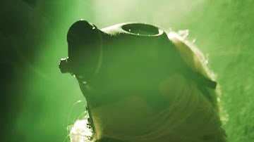 Trace Amount - Fake Figures in the Sacred Scriptures