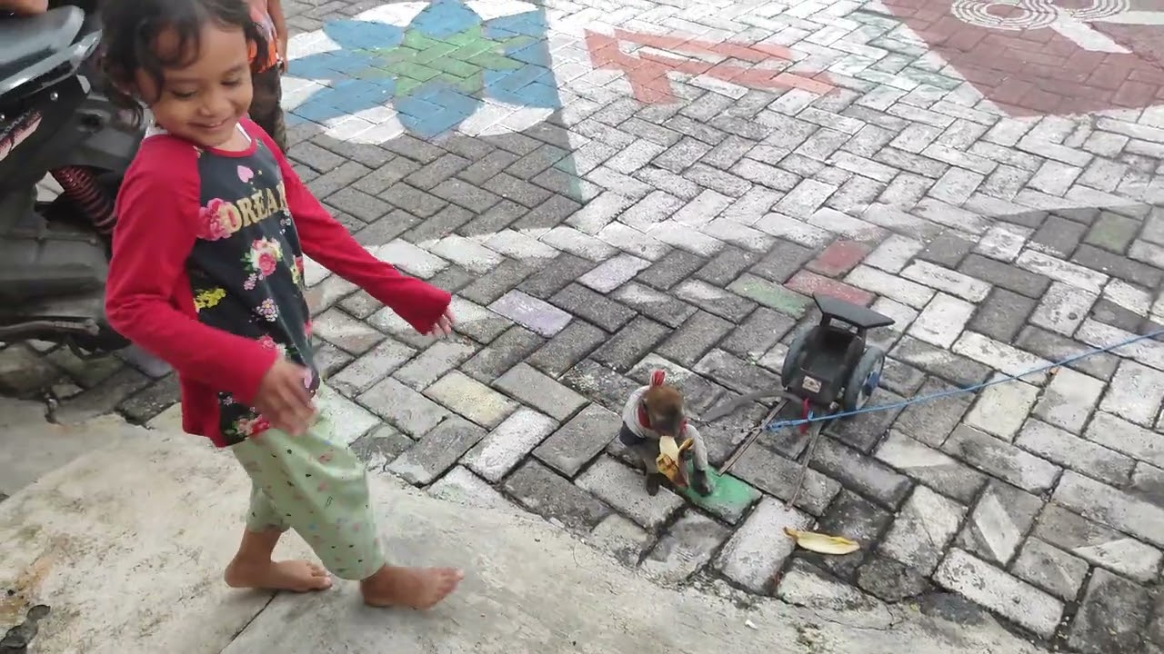 SERUNYA MELIHAT TOPENG MONYET (MONYETNYA SUKA PISANG)