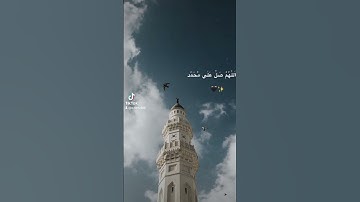 تلاوه خاشعه للقارئ القران الكريم #قران #كريم #لايك #اكسبلور
