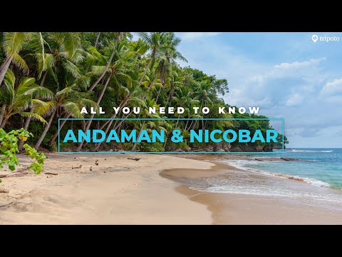 Video: Andaman Islands: Ang Kumpletong Gabay