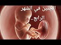 الجنين في الشهر الرابع هل يتحرك