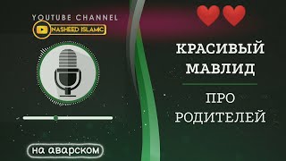 КРАСИВЫЙ МАВЛИД // ПРО РОДИТЕЛЕЙ //НА АВАРСКОМ | ИСЛАМСКИЕ_НАШИДЫ