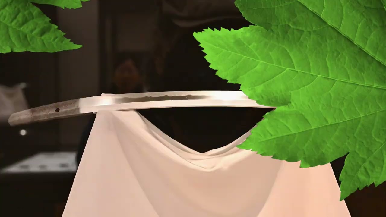 日本刀 続 令和七年度東京国立博物館 秋 重要文化財8口 KATANA2025 Tokyo National Museum Important cultural property. 8Furi.