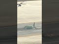 Something Went terribly Wrong During Takeoff