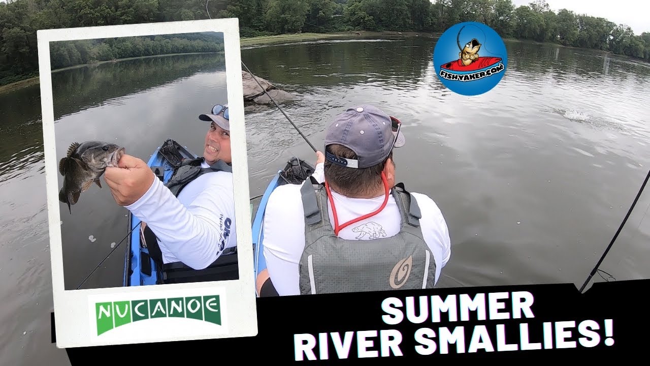 Summer Susquehanna River Smallmouth Bass! #bassfishing  #kayakfishing  #kayakbassfishing