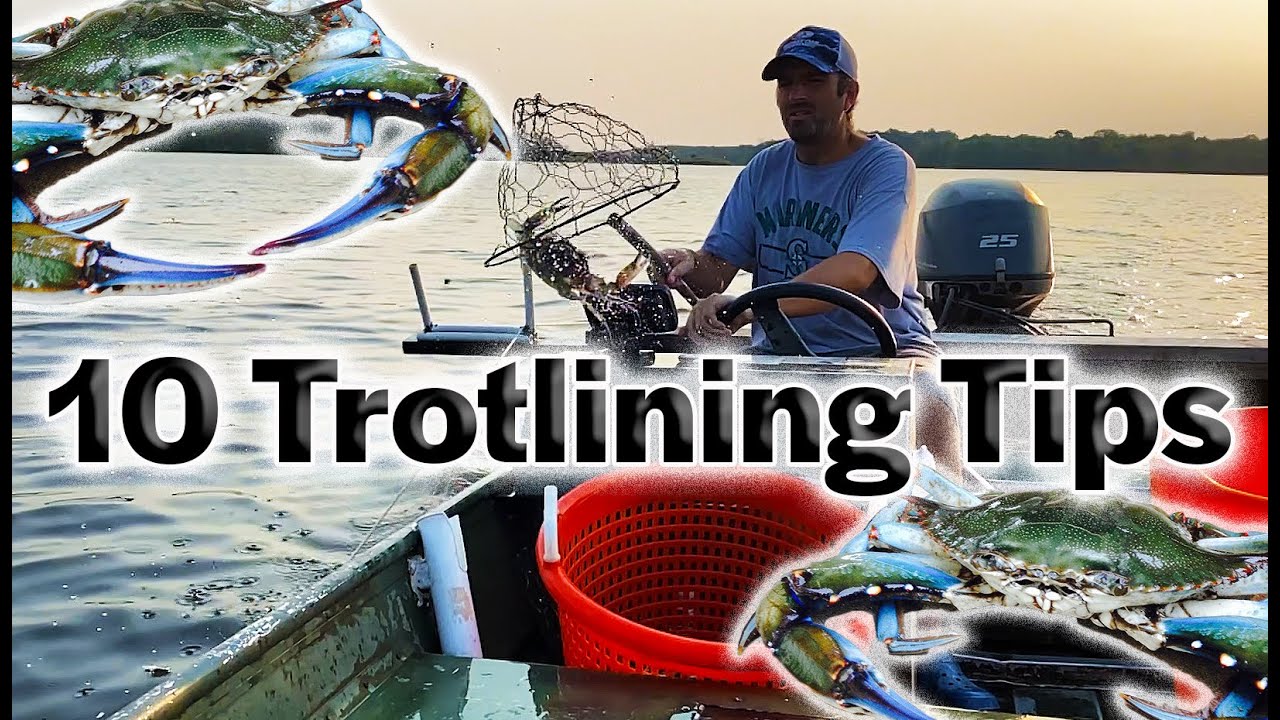 10 Trotline Crabbing Tips and Tricks 3 BUSHELS by 8 AM! Chesapeake Bay