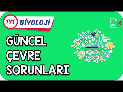 Video: Çevre Sorunları Nasıl çözülür