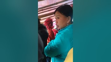 LỄ CẤP SẮC(trưởng thành) của người dao tuyển vùng cao TÂY BẮC MƯỜNG KHƯƠNG LÀO CAI...