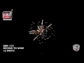 video-img