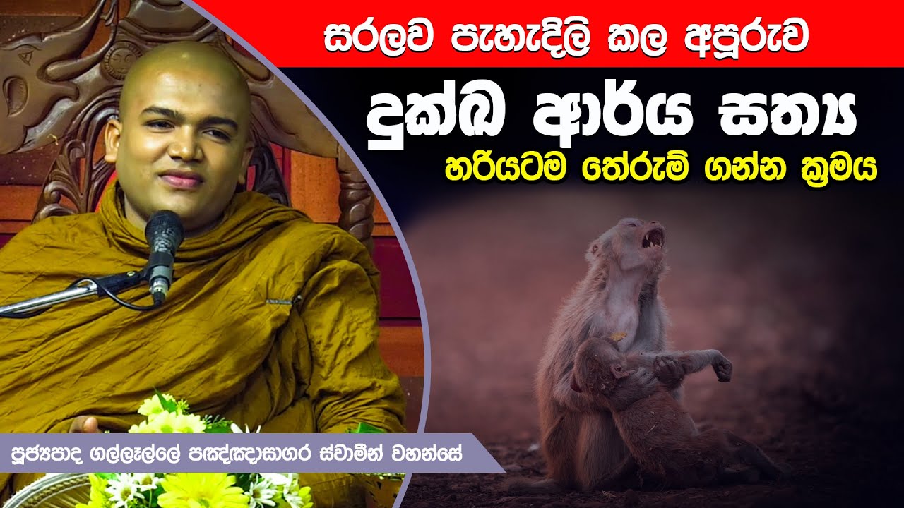 දුක්ඛ ආර්ය සත්‍ය හරියටම තේරුම් ගන්න ක්‍රමය | Dharma Deshana | Gallelle Panghasagara Thero | D 0670