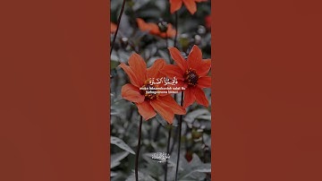 #قران_كريم #تلاوة_خاشعة لا اله إلا الله