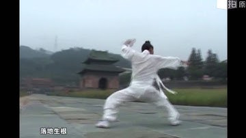 Wudang Baji Quan implementing theory武当八极拳实战运用及技法讲解Master yuan shen cai