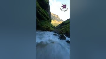 تلاوة خاشعة من سورة الزمر بصوت الشيخ خالد الجليل