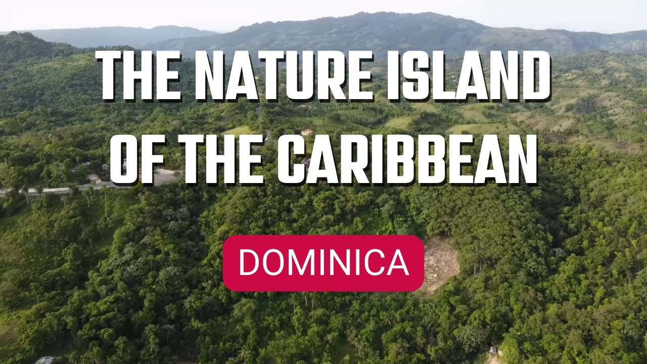 🟢 Dominica - The Nature Island of the Caribbean | Explore Edge | Travelling | Underrated Islands