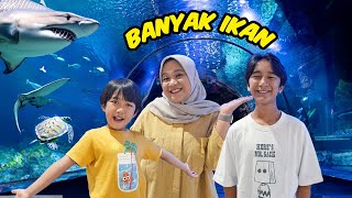 Melihat Banyak Hewan Laut di BXSea - Keluarga Ziyan