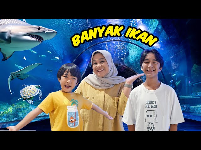 Melihat Banyak Hewan Laut di BXSea - Keluarga Ziyan class=