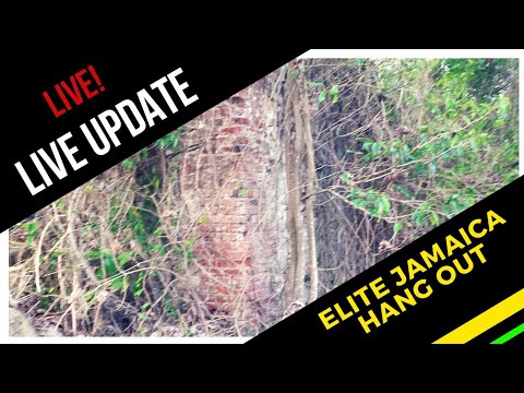 ELITE JAMAICA LIVE! UPDATE
