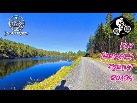 Virtual Biking | Fly Through Forest Roads | Downhill Flow to Bøylestad
