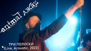 Animal ДжаZ — Три полоски (Live, Acoustic, 2022)