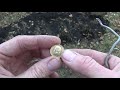 Тест на звучание золотой монетки (5 рублей 1897)