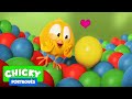 Onde está Chicky? 2020 | HISTORIA DE AMOR | Desenhos Animados Infantil