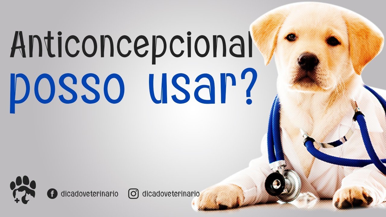 Injeção anticoncepcional para cadelas preço Clearance