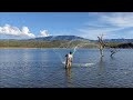 increible mega tarrayazo de  megatilapias en este hermoso lugar