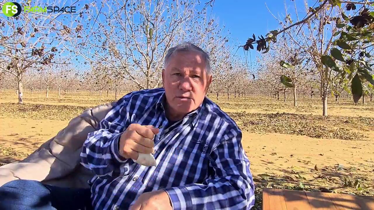 Hoe moet ek my Pekanneute prys in 2020?