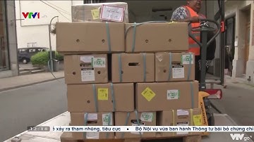 Lô vải thiều đầu tiên từ Việt Nam tới Vương Quốc Bỉ | VTV24