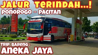 Jalur Super Indah !! | Trip Bus Aneka jaya Pacitan Surabaya Bus Aneka Jaya