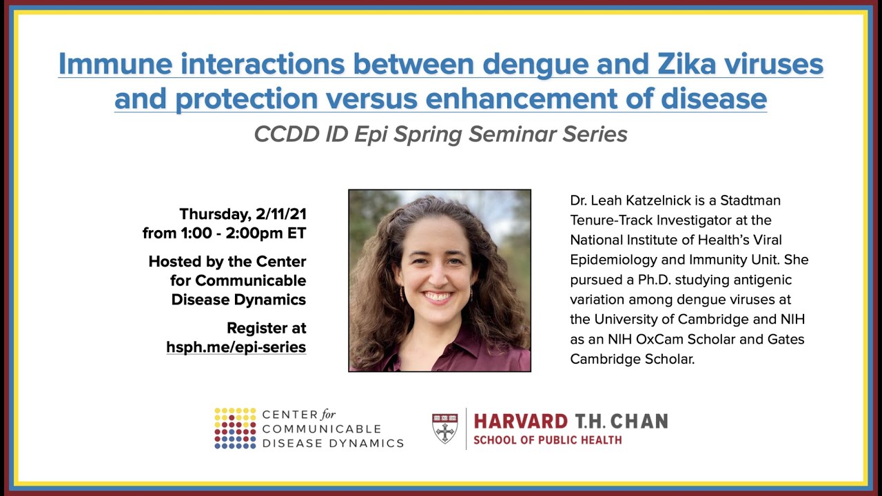 Immune Interactions Between Dengue and Zika Viruses (CCDD ID Epi Seminar Series)
