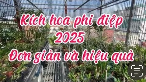 Kích hoa phi điệp 2025 đơn giản và hiệu quả zalo 0989642314