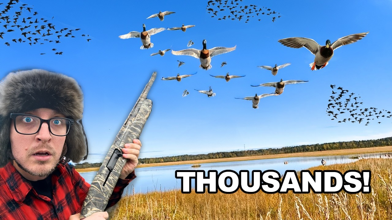 I Hunted in the Duck Hunting Capital of the World