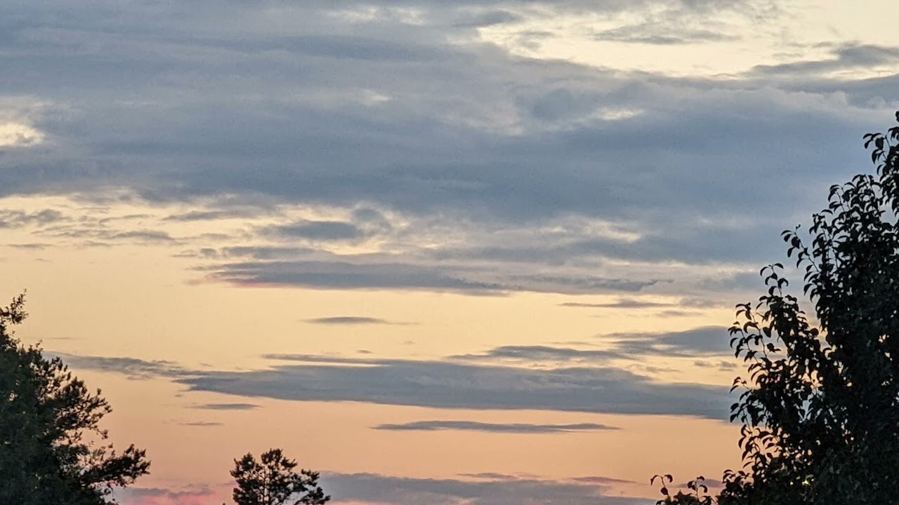 For twenty minutes, I'll believe...(demo)