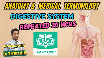 CPC Medische Codering Anatomie Spijsverteringsstelsel Herhaalde Vragen 2025