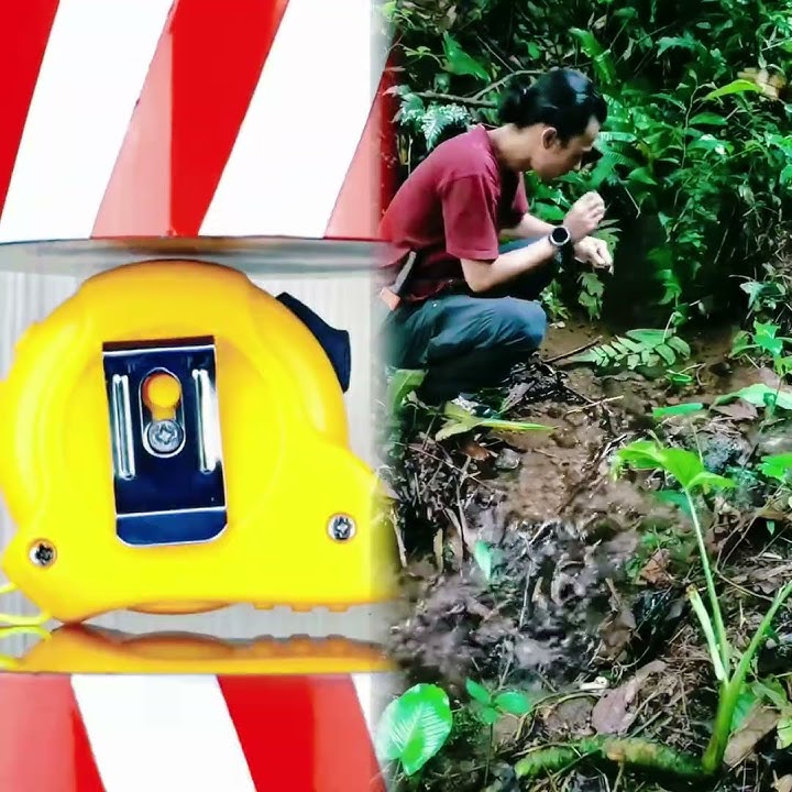 Hari ini saya akan mencari batu api alias flint, untuk membuat api dengan gaya primitif yakni flint