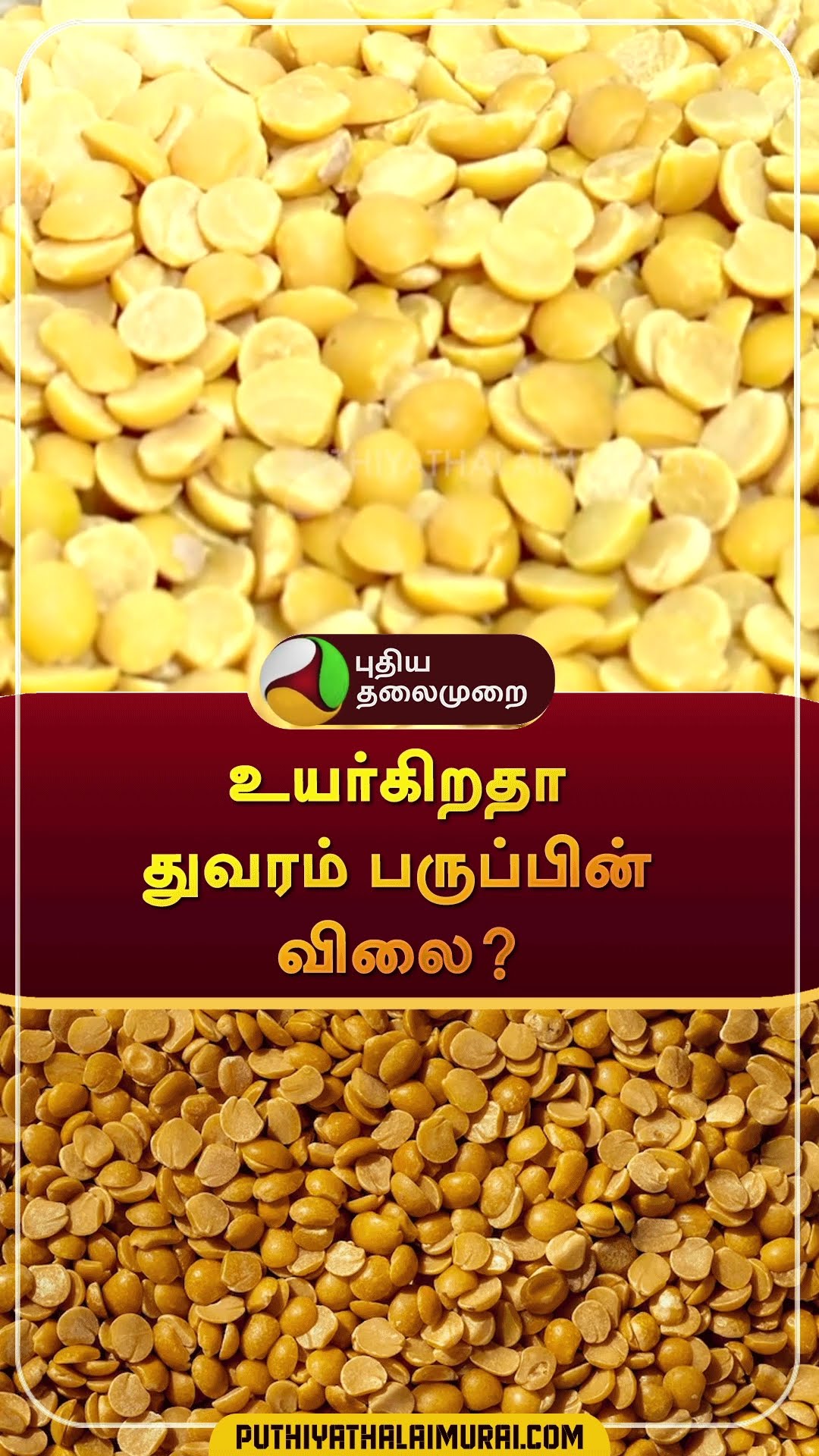 உயர்கிறதா துவரம் பருப்பின் விலை? | #shorts | #toordal