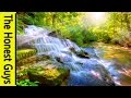 8 HOURS Relaxing Nature Sounds-Sleep-Study-Meditation-Spa Water Sounds Bird Song