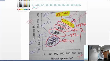 Computational Statistics - Class #12